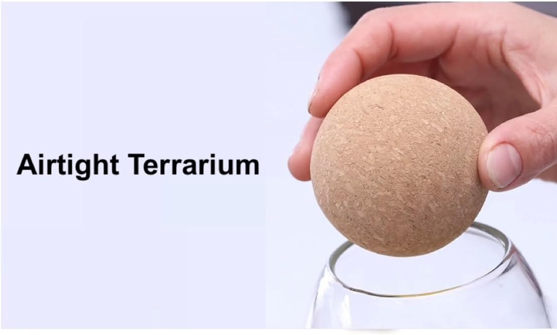 Glass Terrarium Jar with Airtight Wood Lid 800ml (Jar Only)