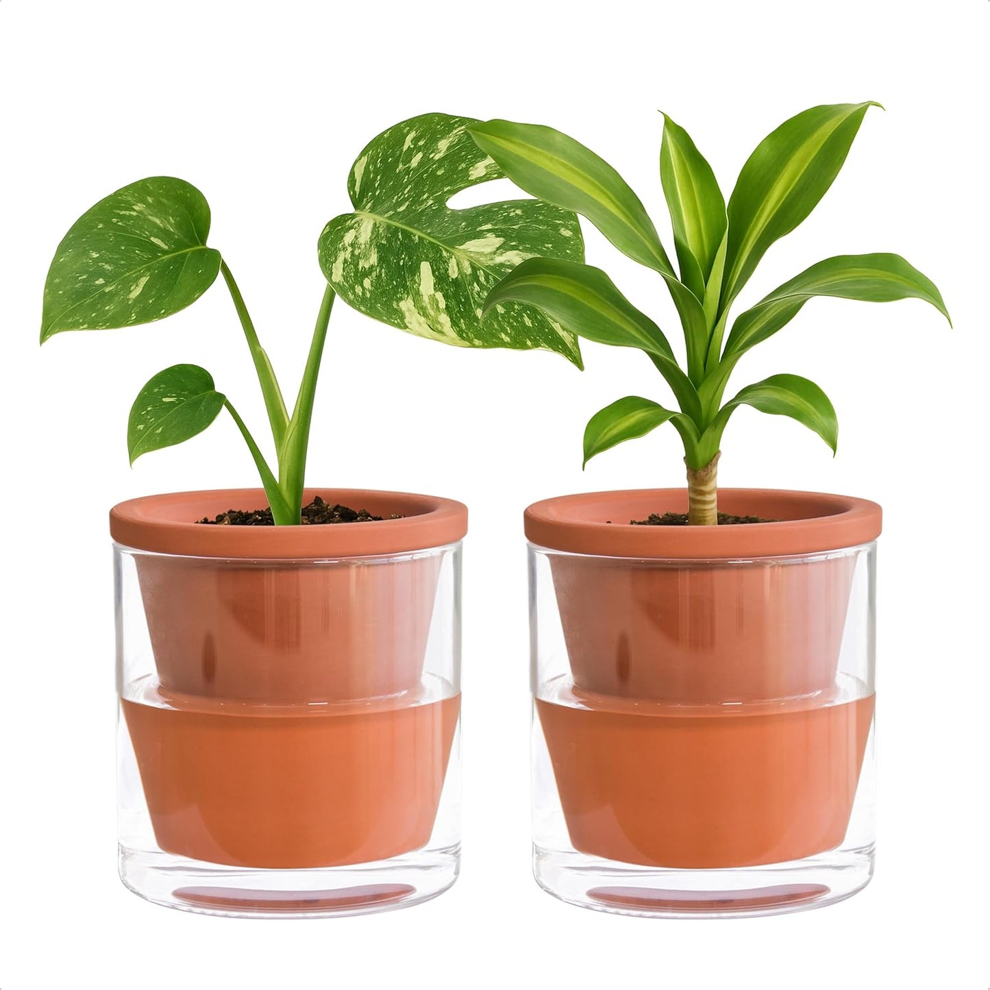 4in Self-Watering Terracotta Planter (Set of 2)