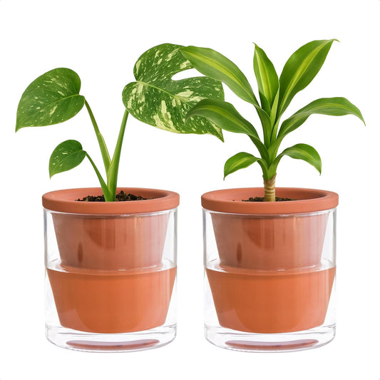 4in Self-Watering Terracotta Planter (Set of 2)