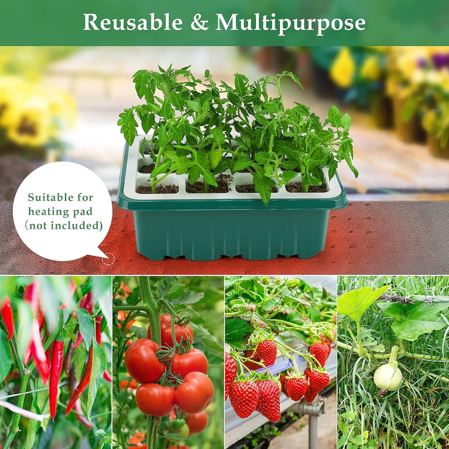 72-Cell Seed Starter Tray with Humidity Dome