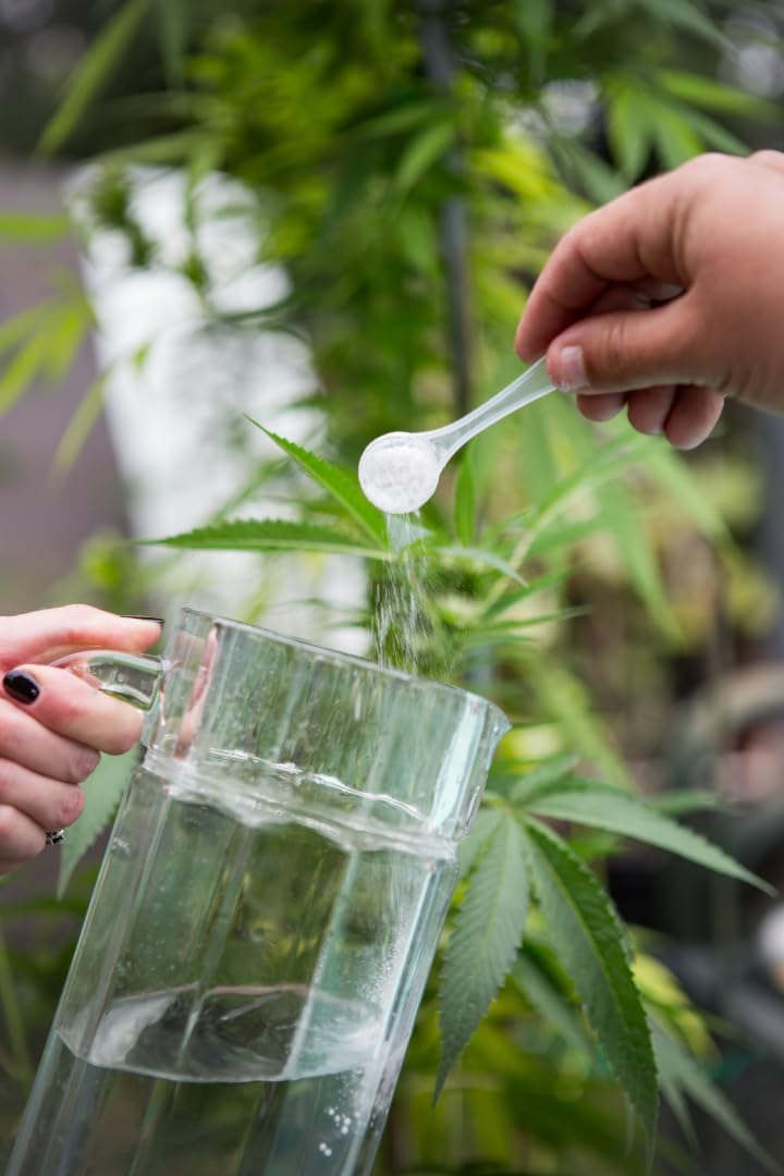 Reefertilizer Bloom, Flowering Plant Nutrient Powder (1.1lb)