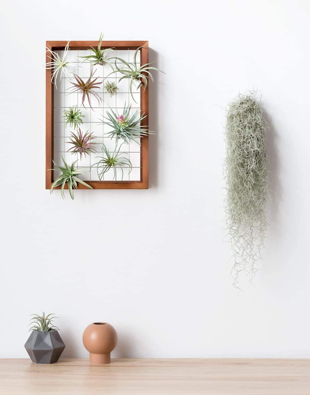 Wooden Air Plant Frame 16" Hanging Tillandsia Display (Plant Not Included)