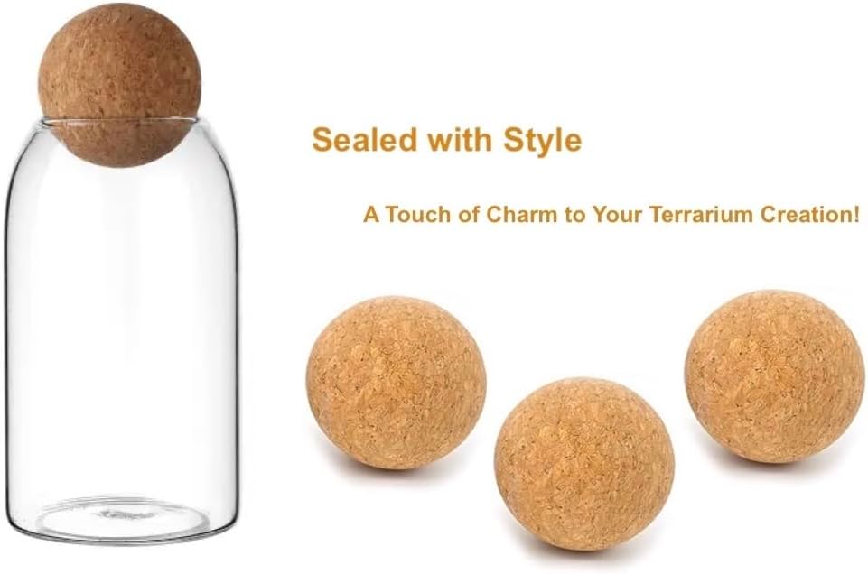 Glass Terrarium Jar with Airtight Wood Lid 800ml (Jar Only)