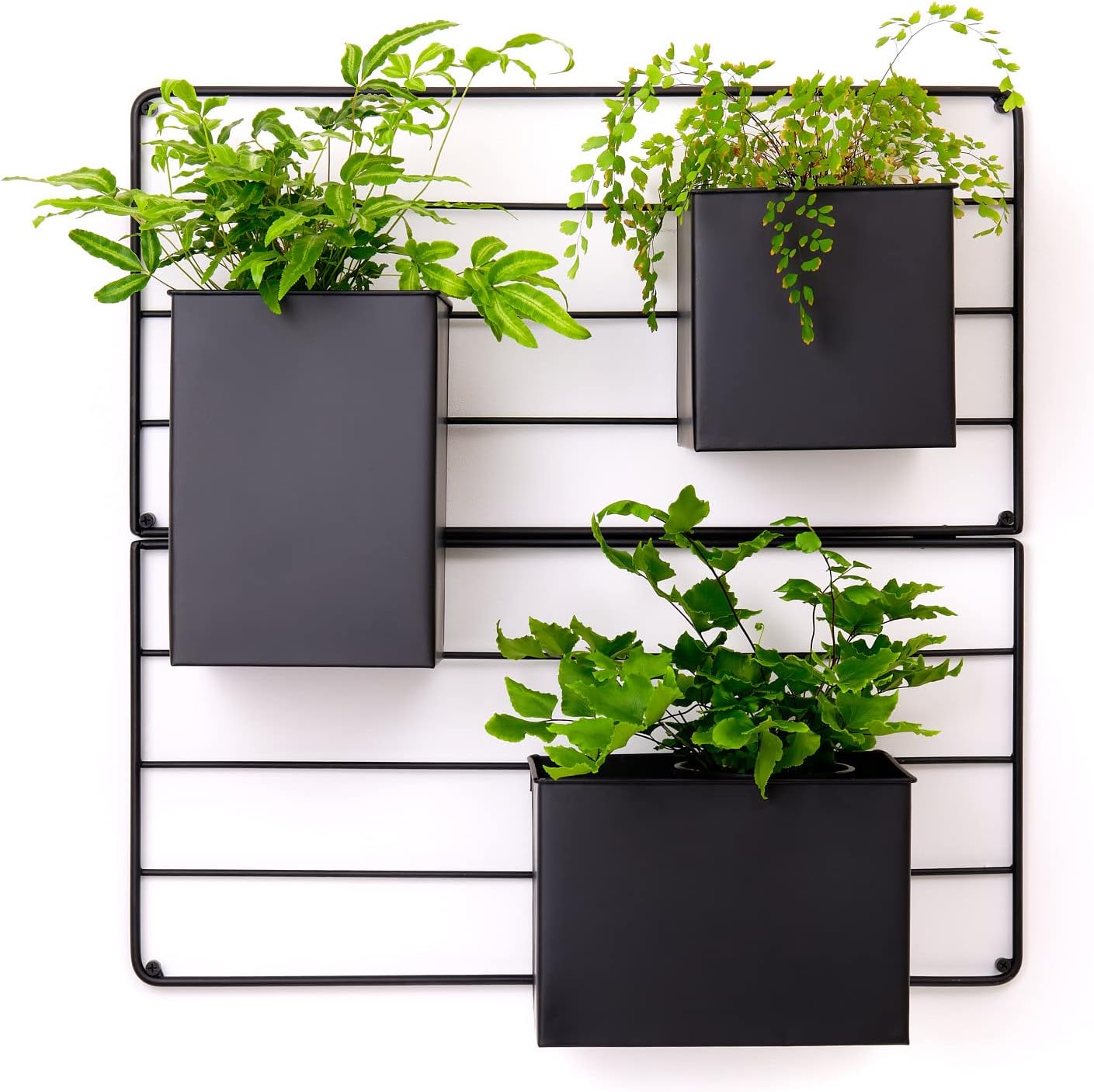 Metal Vertical Wall Planter, Indoor/Outdoor Black Mounted Plant Holder